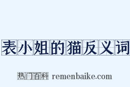 表小姐的猫反义词是什么意思的图片